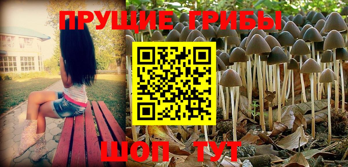 Галлюциногенные грибы ЛСД Якутск