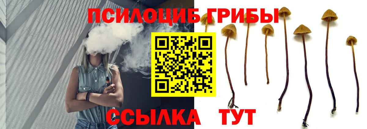 Якутск  Псилоцибиновые грибы Magic Shrooms  Вход с VPN 